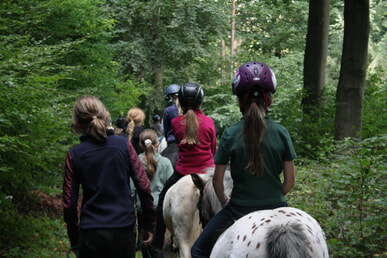 Reitfreizeit f&uuml;r Kinder