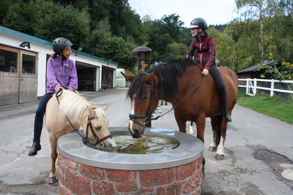 REITFREIZEIT 30.08. - 05. September 2026